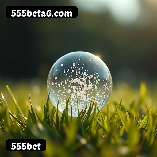 555bet APP mobile iOS Android - 187 mil downloads São Paulo Rio BH
